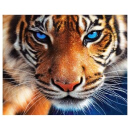 Очите на тигъра 40/30 см
