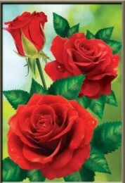 Червени рози 24/34 см