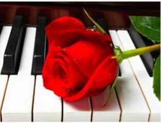 Червена роза и пиано 40/30 см