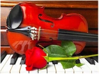 Червена роза, цигулка и пиано 40/30 см