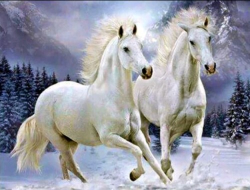 Бели коне в снега 50/70см