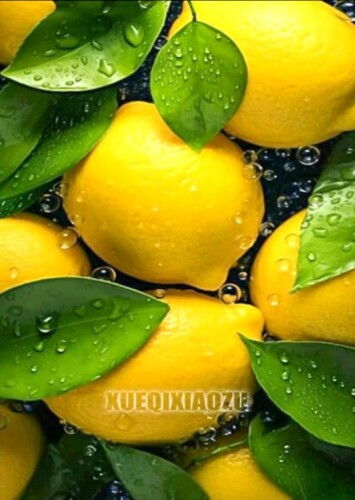 Лимони  25/36 см